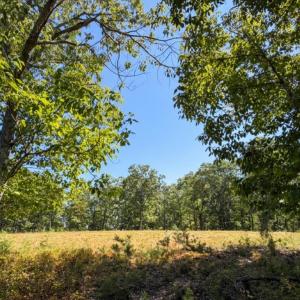 Bedford Co. VA - 0 Timberland Trail- Gro