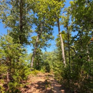Bedford Co. VA - 0 Timberland Trail- Gro