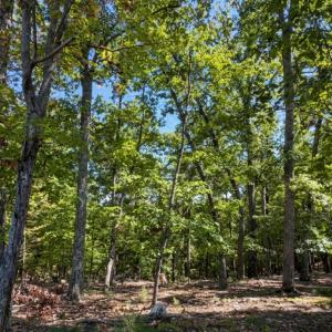 Bedford Co. VA - 0 Timberland Trail- Gro