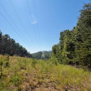 Bedford Co. VA - 0 Timberland Trail- Gro