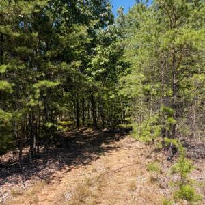 Bedford Co. VA - 0 Timberland Trail- Gro