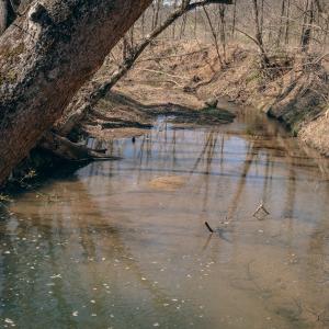 Rice creek