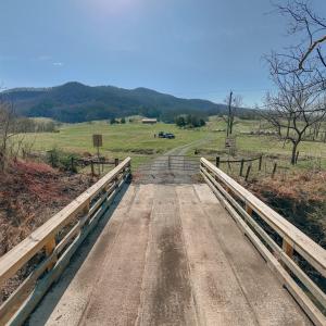 Rice bridge shot