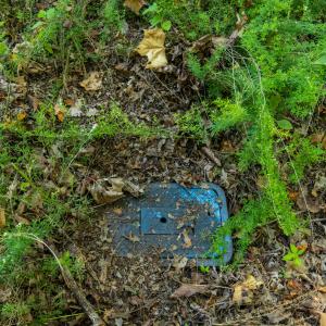 Ground IMG_0025