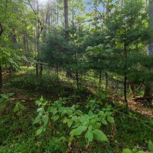 Ground Interior Detail 6