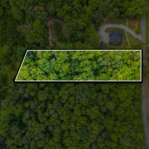 Aerial Nadir 1 Parcel Overlay