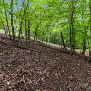Ground Steep Grade Begins