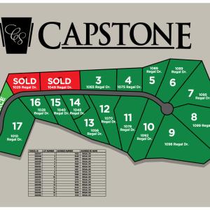Capstone subdivision map