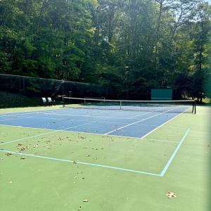 Tennis Courts