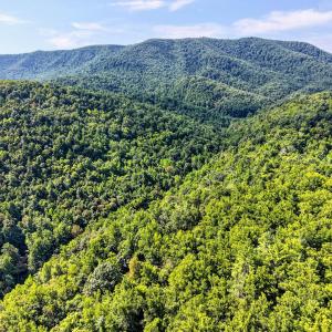elliston-16