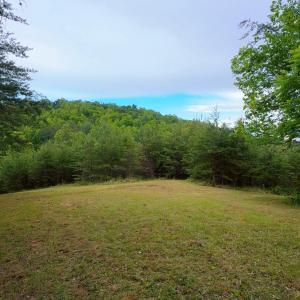 Lot 1 Bear Ln.