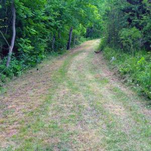 Lot 1 Bear Ln.