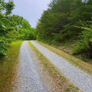 Lot 1 Bear Ln.