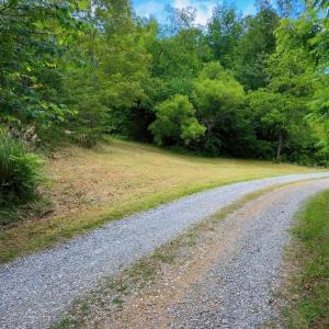 Lot 1 Bear Ln.