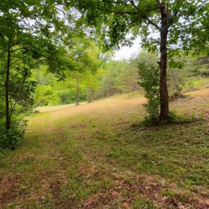 Lot 1 Bear Ln.