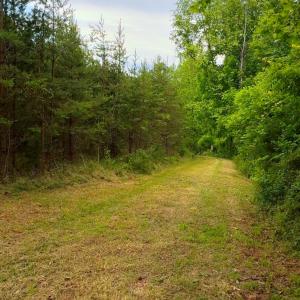 Lot 1 Bear Ln.