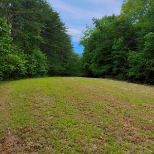 Lot 6 Bear Ln.