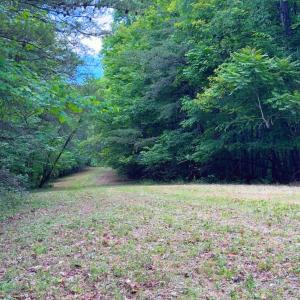 Lot 6 Bear Ln.