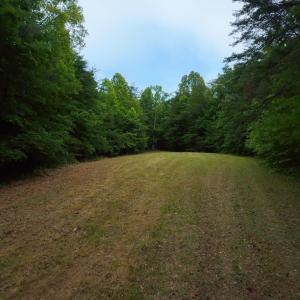 Lot 6 Bear Ln.