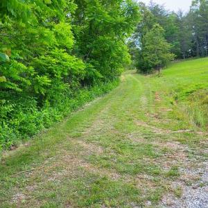 Lot 6 Bear Ln.