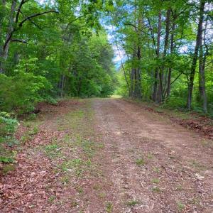 Lot 6 Bear Ln.