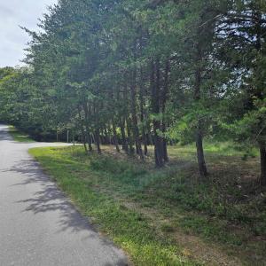 Front view from road of Lot 65
