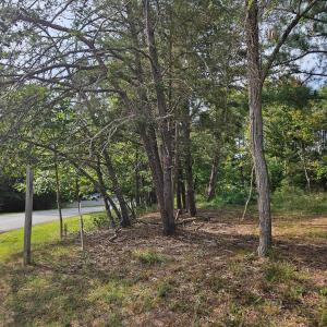 Left side of lots at Beechwood Shores