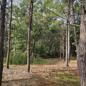 Other view of Lot 63