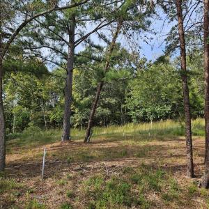Photo of lot at Beechwood Shores
