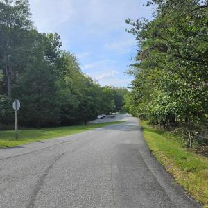 Photo showing road to boat ramp at Beech