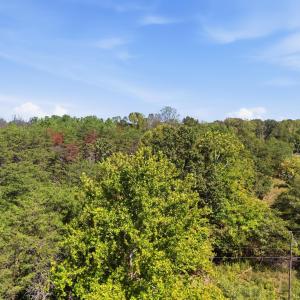 001_DJI_20260916143241_0011_D