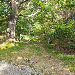 Gate for Access Road-20260913_163753