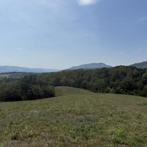 IMG_9989