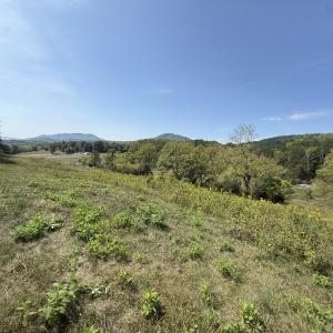 IMG_9975