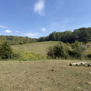 IMG_9962
