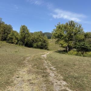 IMG_9959