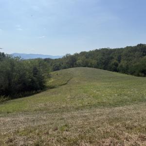 IMG_9980