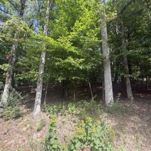 1 Acre Lot