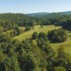 DJI_20260916113143_0177_D