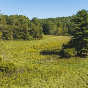 DJI_20260916113212_0178_D