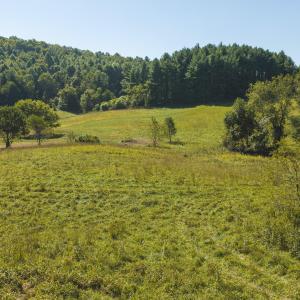 DJI_20260916113319_0182_D