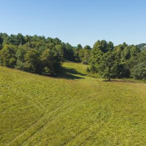 DJI_20260916113405_0184_D