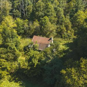 DJI_20260916113517_0186_D