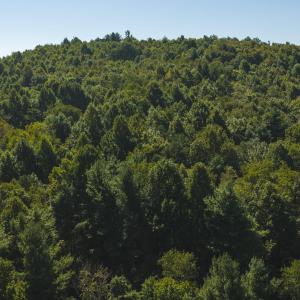 DJI_20260916113600_0189_D