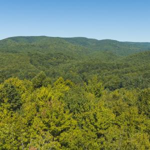 DJI_20260916113658_0192_D