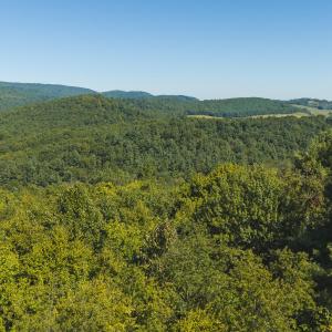 DJI_20260916113702_0193_D