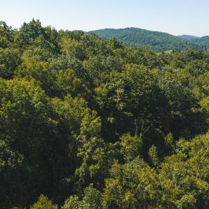 DJI_20260916113802_0196_D