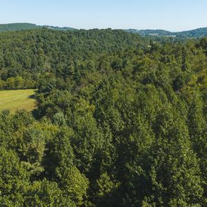 DJI_20260916113810_0197_D