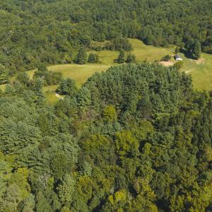 DJI_20260916113832_0198_D