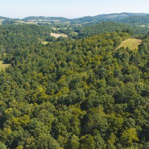 DJI_20260916113848_0199_D